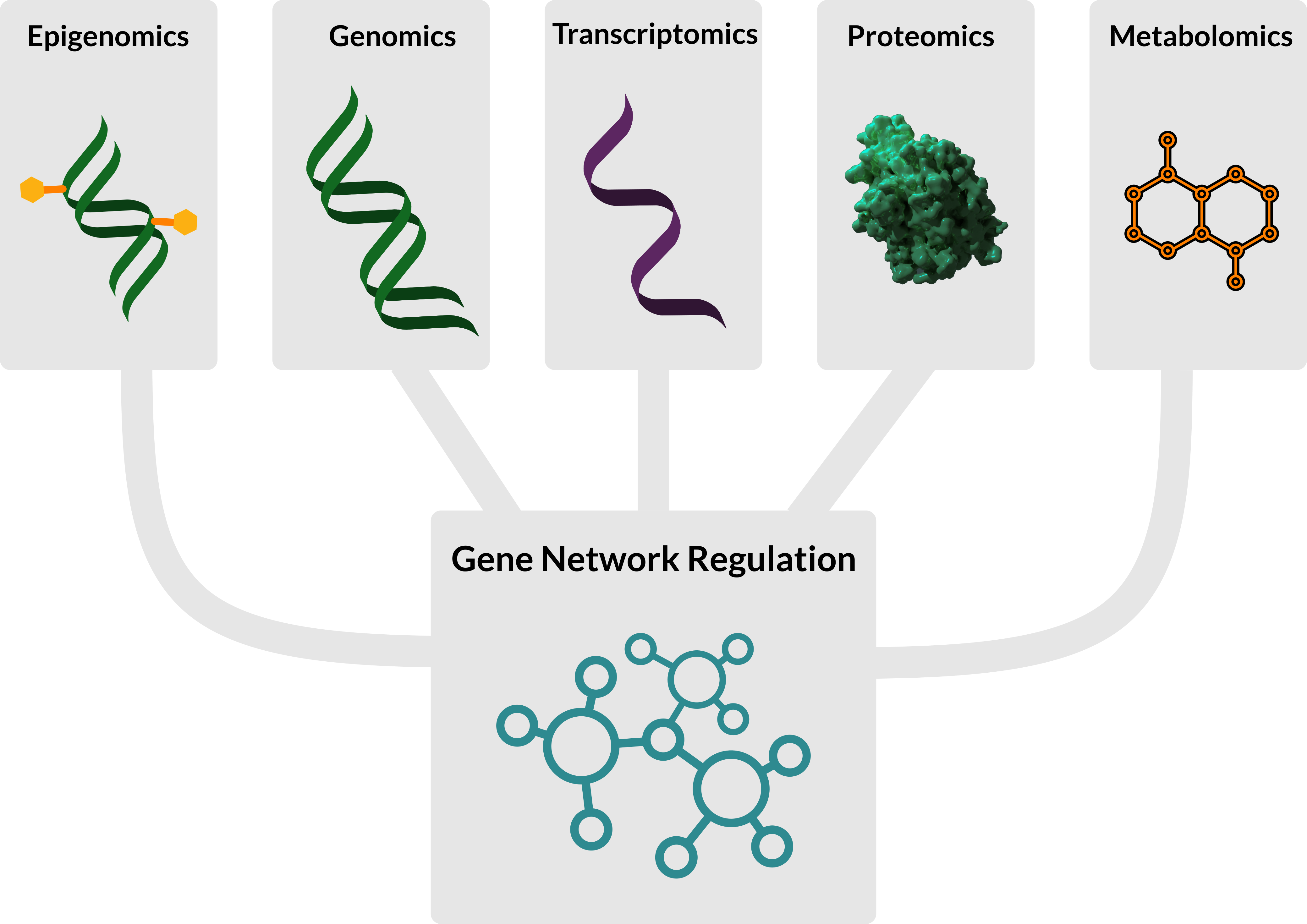 A figure showing the different omics fields and how they are all related to gene network regulation inference